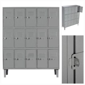 Lockers 5 Cuerpo 15 Puerta