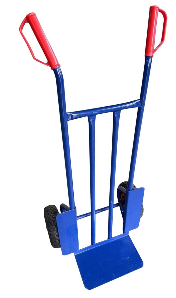 Yegua HT 1866 (180 kg)